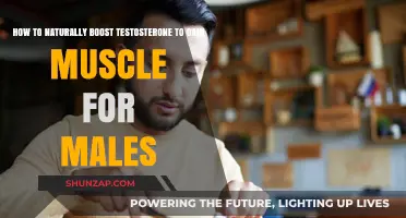 Natural Testosterone Boosting Strategies for Muscle Gain in Men