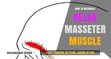 Effective Natural Techniques to Relax Your Masseter Muscle Easily