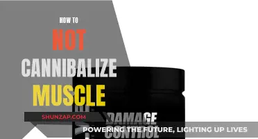 Preventing Muscle Cannibalization: Strategies for Maintaining Muscle Health
