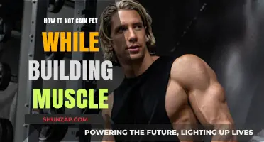 Build Muscle, Stay Lean: Strategies to Avoid Fat Gain