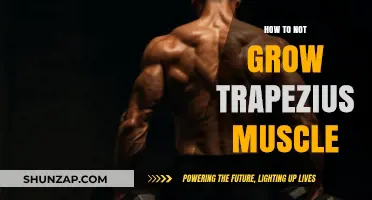 Prevent Trapezius Growth: Tips for Balanced Muscle Development