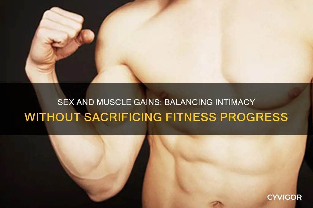 how to not let sex affect muscle gains