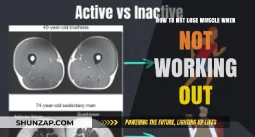 Maintain Muscle Mass: Strategies for Inactivity and Recovery Periods