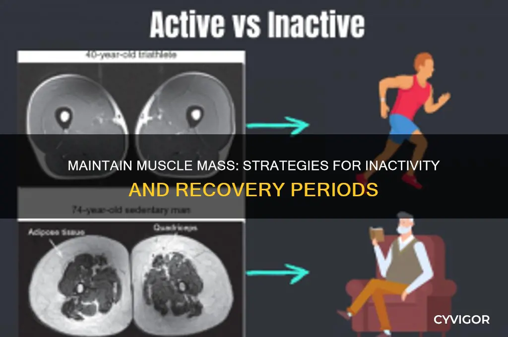how to not lose muscle when not working out