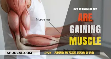 Spotting Muscle Growth: Signs You're Building Strength and Size