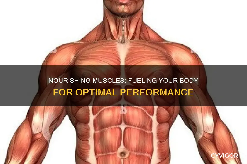 how to nourish your muscles