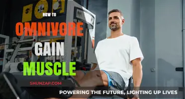 Omnivore Muscle Building: Strategies for Strength and Growth