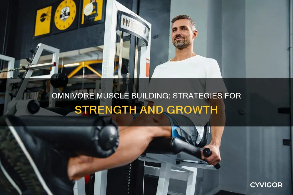 how to omnivore gain muscle
