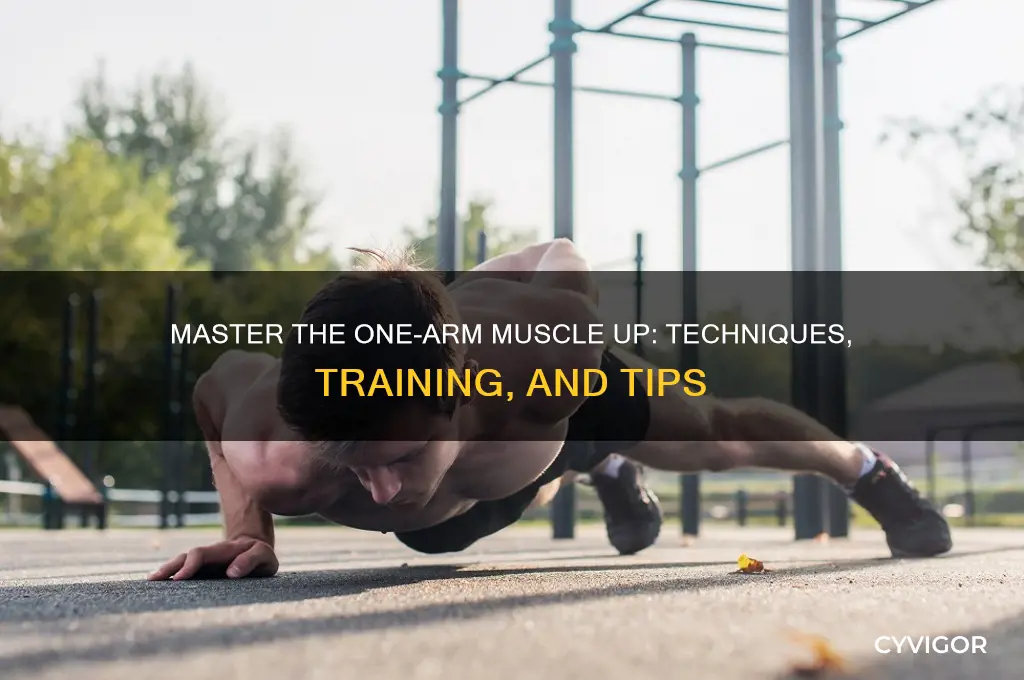 how to one arm muscle up