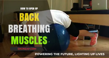Unlocking Relief: A Guide to Opening Up Back Breathing Muscles