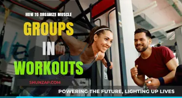 Effective Muscle Group Organization for Optimal Workout Results and Gains