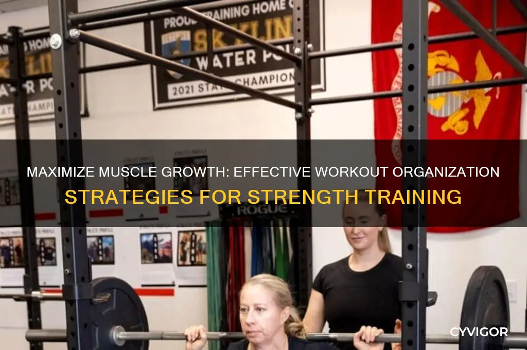 how to organize workouts for muscle gain