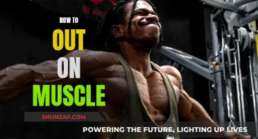 Building Muscle: Strategies for Effective Muscle Gain