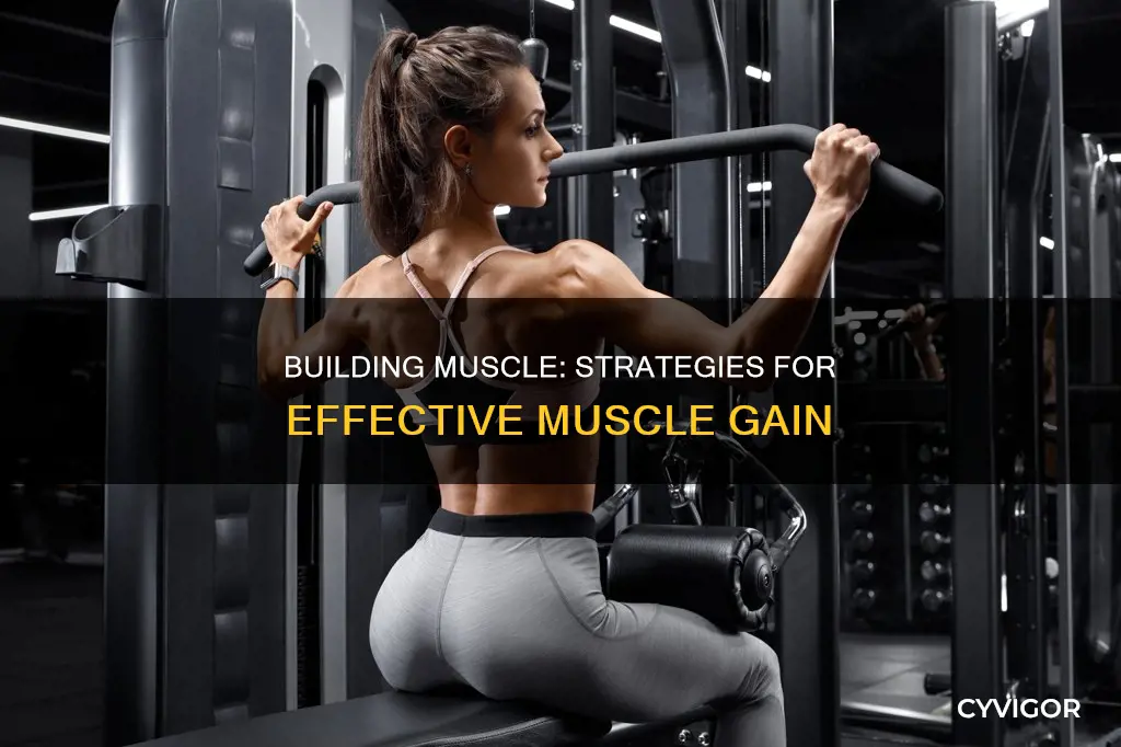 how to out on muscle