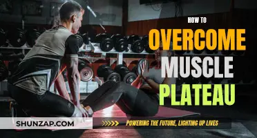 Overcoming Muscle Plateau: Strategies for Continued Strength Gains
