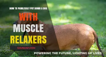 Compassionate Euthanasia: Using Muscle Relaxers for Painless Dog Farewells