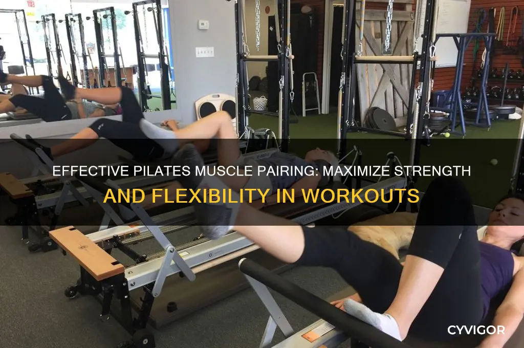 how to pair muscle groups for pilates