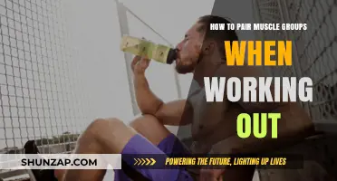 Effective Muscle Group Pairing Strategies for Optimal Workout Results