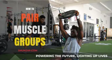 Effective Muscle Group Pairing Strategies for Optimal Workout Results