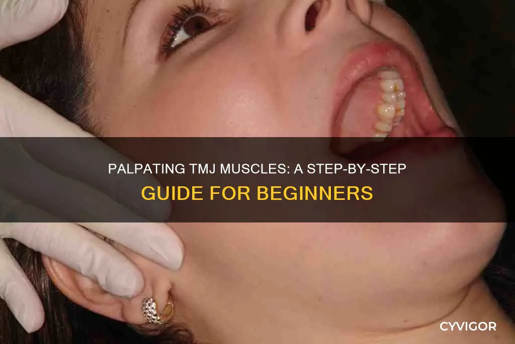 how to palpate tmj muscles