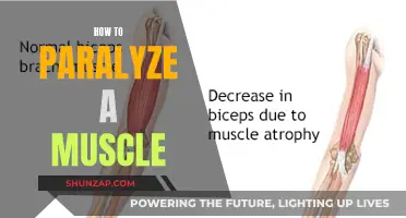 Paralyzing a Muscle: Techniques and Applications