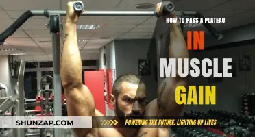 Break Through Muscle Gain Plateaus: Proven Strategies for Consistent Growth