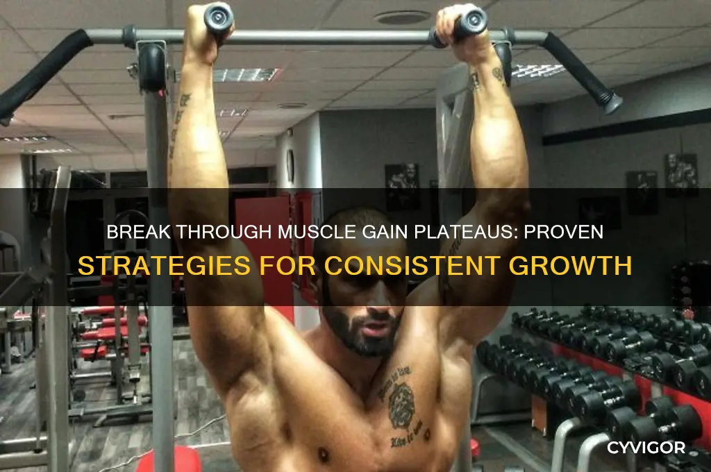 how to pass a plateau in muscle gain