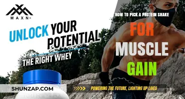 Choosing the Right Protein Shake for Optimal Muscle Growth