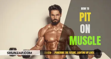Building Muscle: Effective Strategies for Quick Results