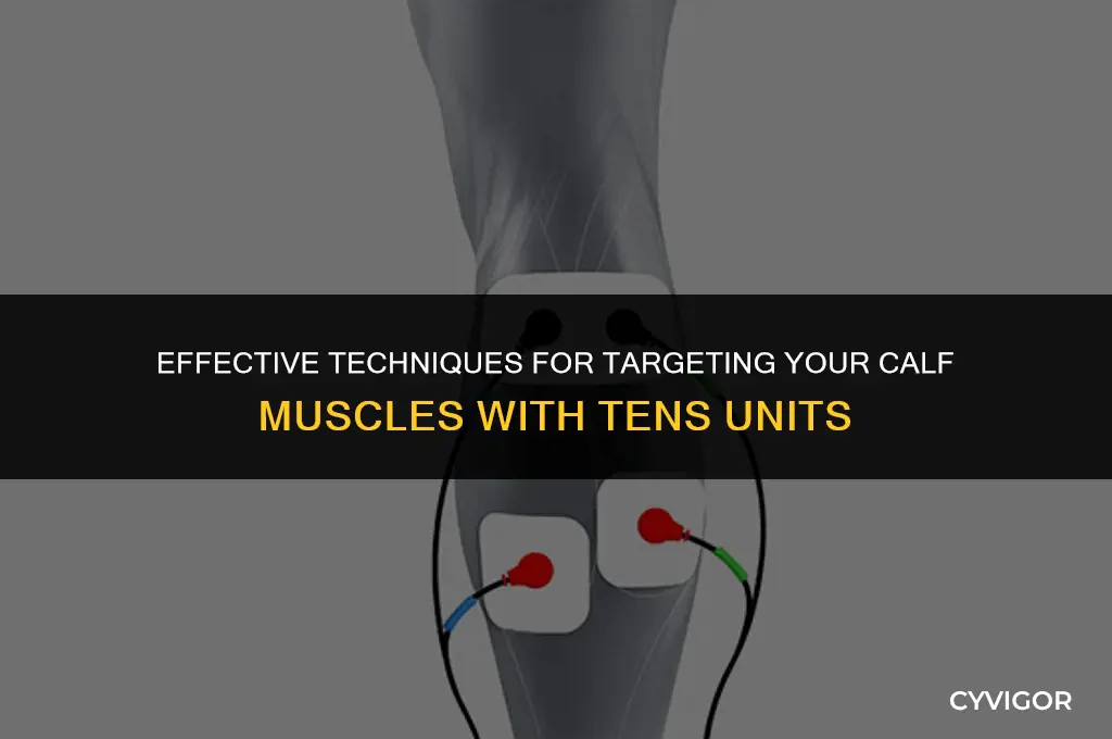 how to place tens unit on calf muscle