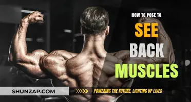 Sculpted Strength: The Art of Posing to Showcase Your Back Muscles