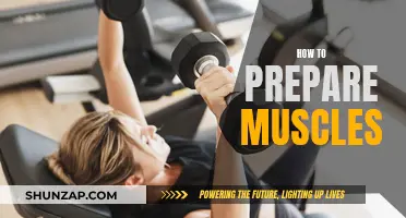 Preparing Muscles: The Ultimate Guide to Muscle Recovery