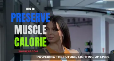 Preserving Muscle Mass: Calorie Control for Strength Retention