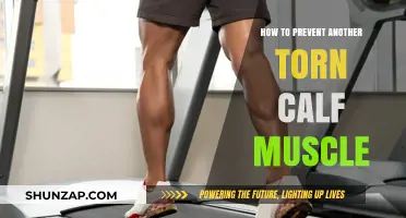 Preventing Future Torn Calf Muscles: A Comprehensive Guide