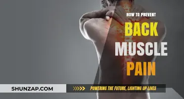 Ergonomic Essentials: Safeguarding Your Back from Pain