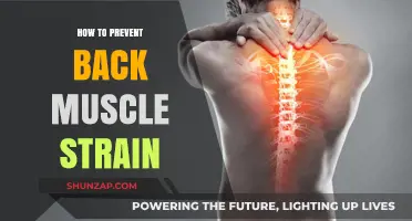 Ergonomic Tips to Avoid Back Muscle Strain: A Comprehensive Guide