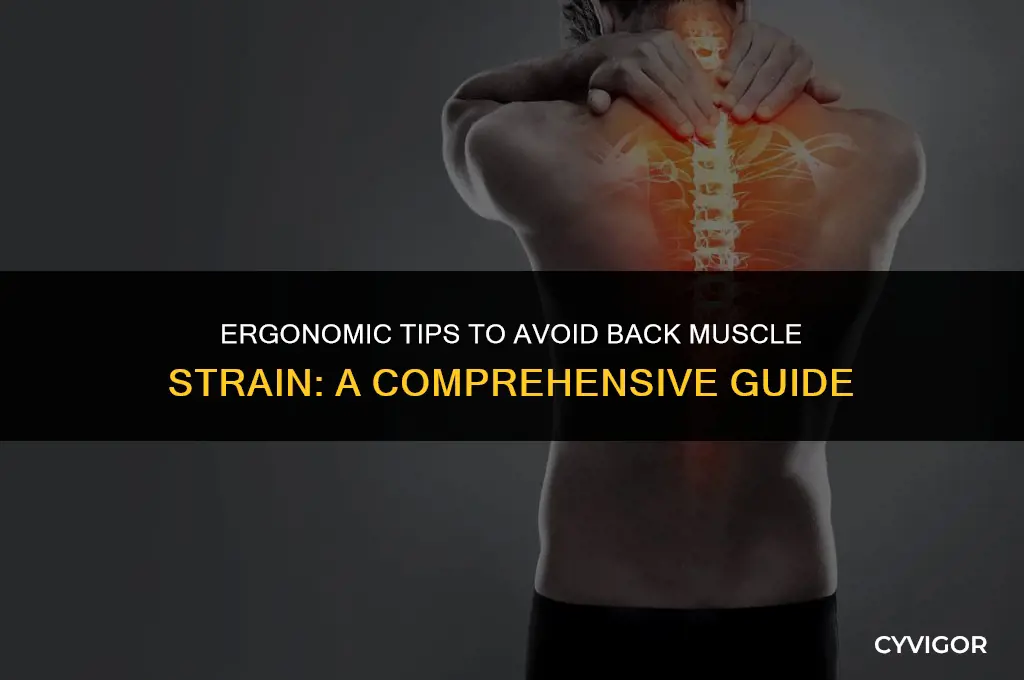 how to prevent back muscle strain