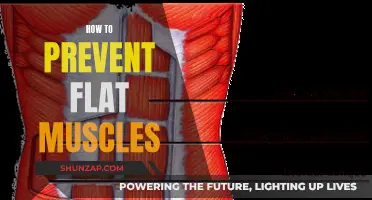 Building Round Muscles: Avoiding Flatness in Your Physique