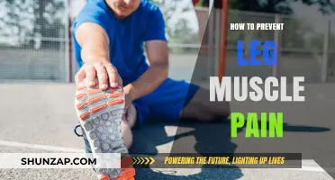 Effective Strategies to Prevent Leg Muscle Pain and Stay Active