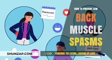 Effective Strategies to Prevent Low Back Muscle Spasms