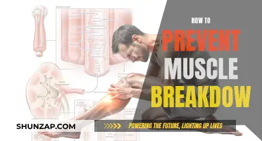 Preventing Muscle Breakdown: Strategies for Optimal Recovery