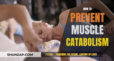 Prevent Muscle Catabolism: Strategies to Maintain Your Gains
