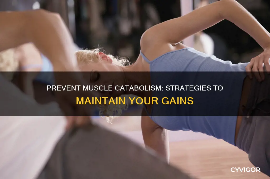how to prevent muscle catabolism