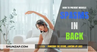Effective Strategies to Prevent Back Muscle Spasms