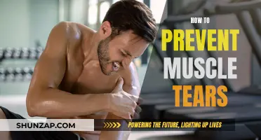 Prevent Muscle Tears: Warm-up, Stretch, and Stay Hydrated