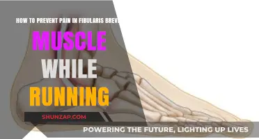 Prevent Fibularis Brevis Pain: Running Tips for Healthy Muscles