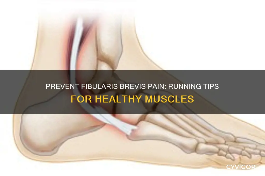 how to prevent pain in fibularis brevis muscle while running