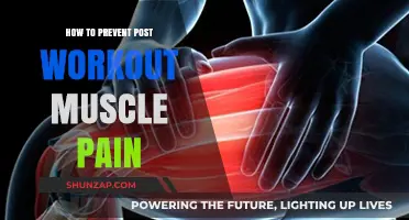 Effective Strategies to Prevent Post-Workout Muscle Pain and Soreness