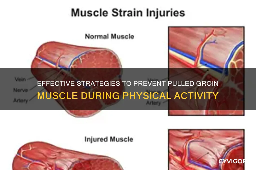 how to prevent pulled groin muscle