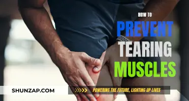 Prevent Muscle Tears: Strengthen, Stretch, and Stay Safe